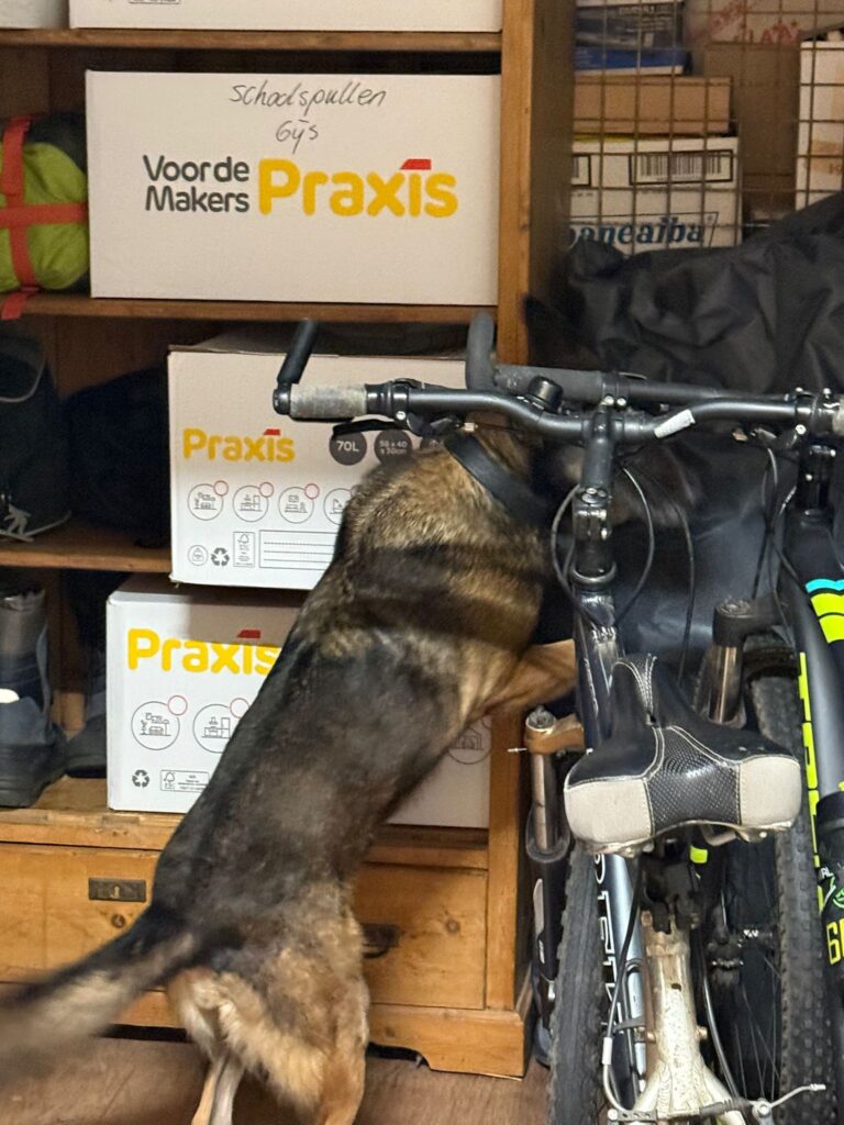 Samenwerking douane Mini Opslag Uden